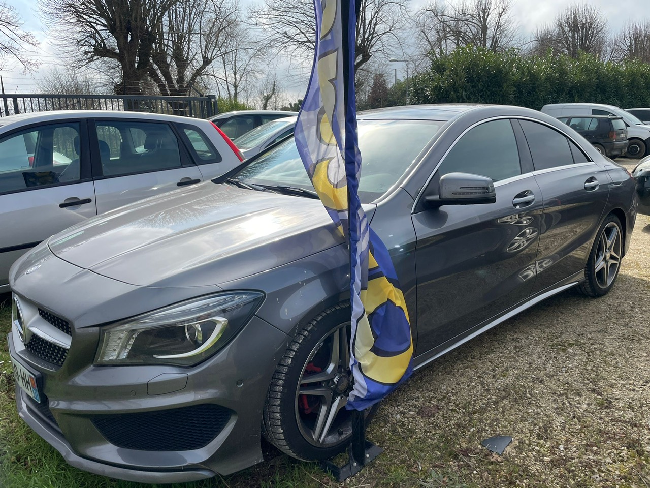 mercedes-professionnel.jpg